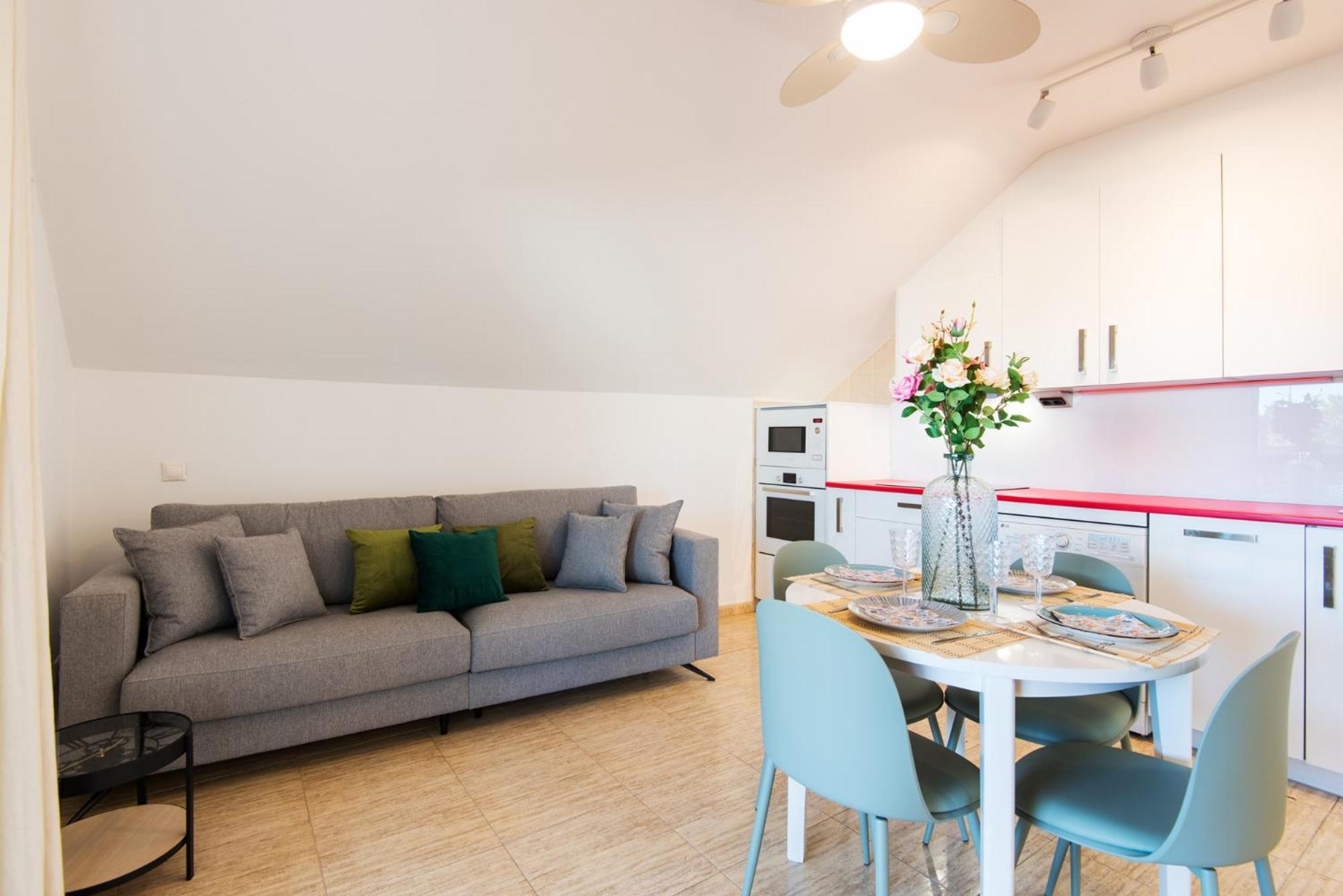 Bio Penthouse, South Terrace Appartement